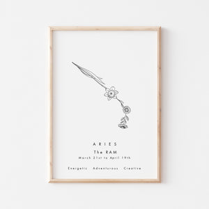 Aries Zodiac Constellation Birth Flower Print