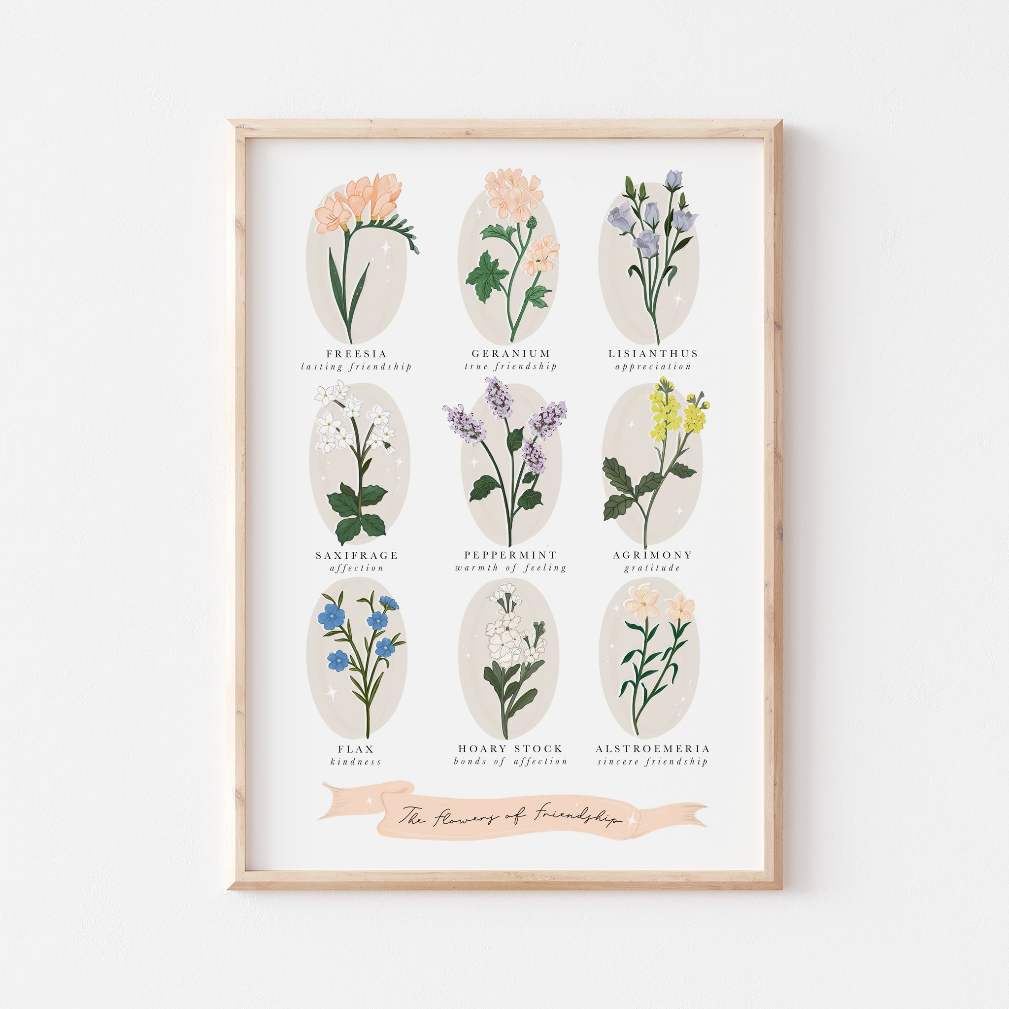 Friendship Print/Flower Print/Floriography/Flower Language/Flower Illustration/Botanical Illustration/Vintage Style Art/Gifts for Friends