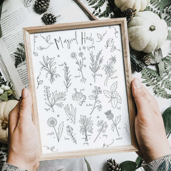 Magical Herbs Illustrated Print