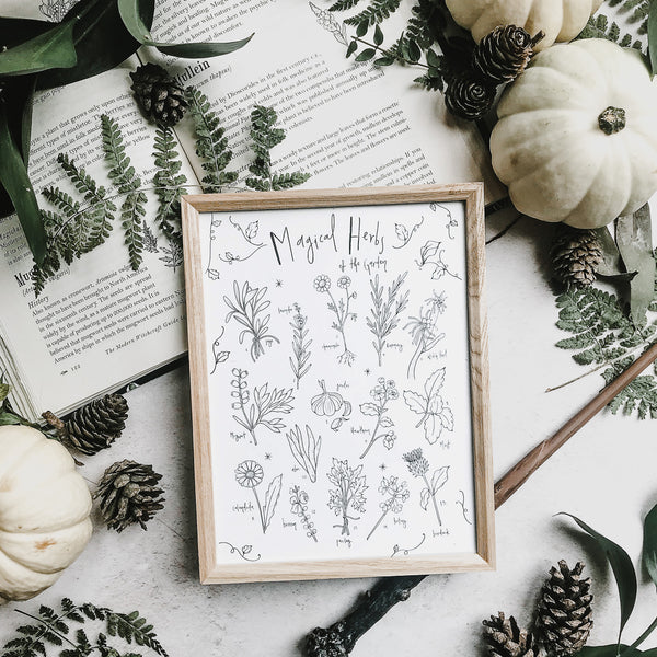 Magical Herbs Illustrated Print